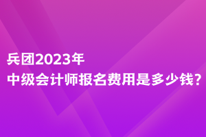 兵团2023年中级会计师报名费用是多少钱？