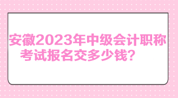 安徽2023年中级会计职称考试报名交多少钱？