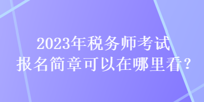 2023年税务师考试报名简章可以在哪里看？