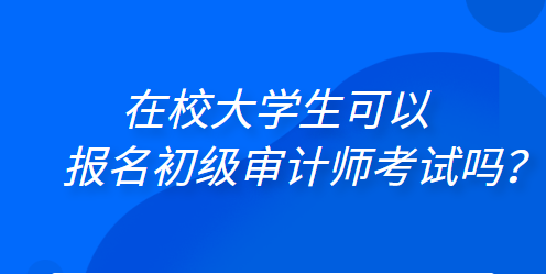 在校大学生可以报名初级审计师考试吗？