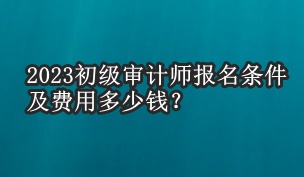 2023初级审计师报名条件及费用多少钱？