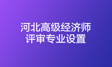 河北高级经济师评审专业设置