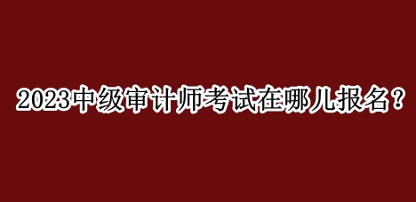 2023中级审计师考试在哪儿报名？