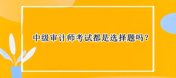 中级审计师考试都是选择题吗？