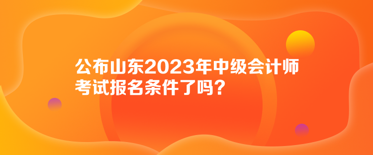 公布山东2023年中级会计师考试报名条件了吗？