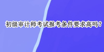 初级审计师考试报考条件要求高吗？