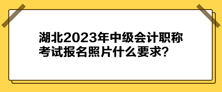 湖北2023年中级会计职称考试报名照片什么要求？