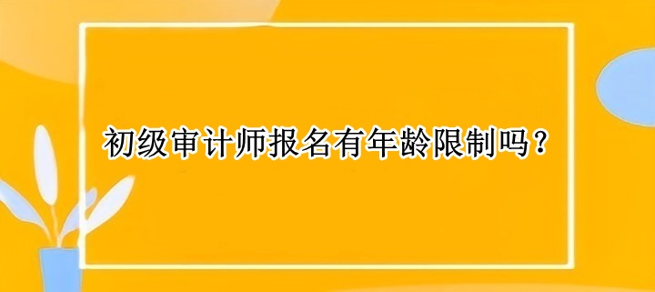 初级审计师报名有年龄限制吗？