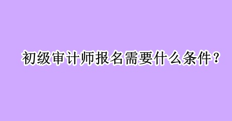 初级审计师报名需要什么条件？