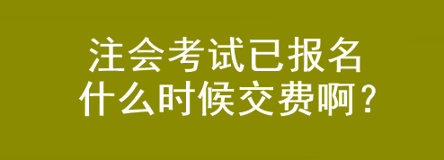 注会考试已报名 什么时候交费啊？