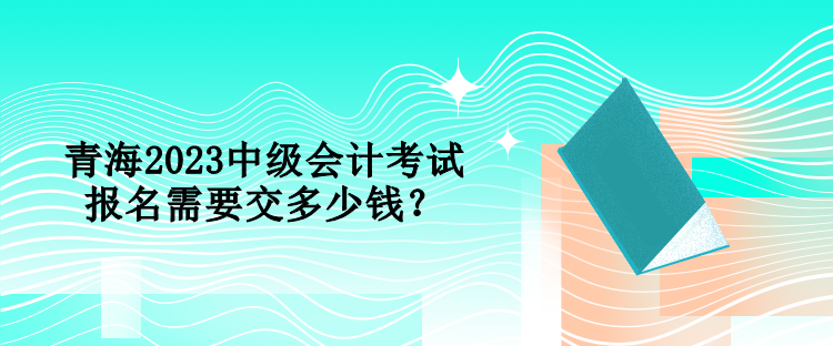 青海2023中级会计考试报名需要交多少钱？