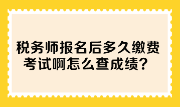 税务师报名后多久缴费考试啊怎么查成绩