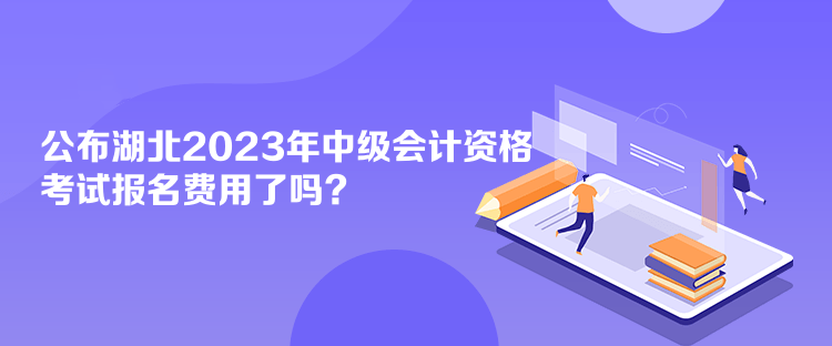 公布湖北2023年会计中级资格考试报名费用了吗？