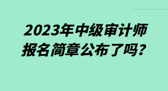 2023年中级审计师报名简章公布了吗？