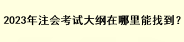 2023年注会考试大纲在哪里能找到？