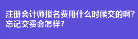 注册会计师报名费用什么时候交的啊？忘记交费会怎样？