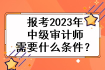 报考2023年中级审计师需要什么条件？