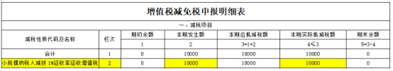 增值税减免税申报明细表