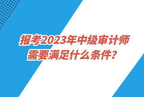 报考2023年中级审计师需要满足什么条件？