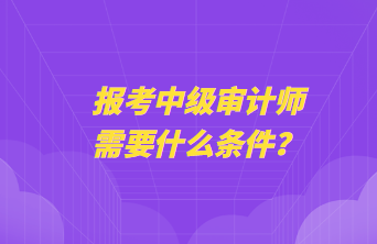 报考中级审计师需要什么条件？