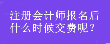 注册会计师报名后什么时候交费呢？