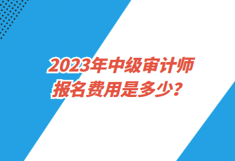 2023年中级审计师报名费用是多少？