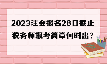 税务师报考简章何时出？