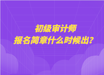 初级审计师报名简章什么时候出？