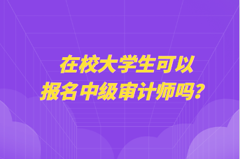 在校大学生可以报名中级审计师吗？