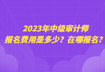 2023年中级审计师报名费用是多少？在哪报名？