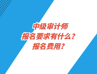 中级审计师报名要求有什么？报名费用？