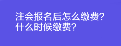 注会报名后怎么缴费？什么时候缴费？