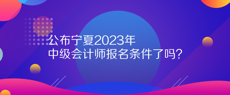 公布宁夏2023年中级会计师报名条件了吗？