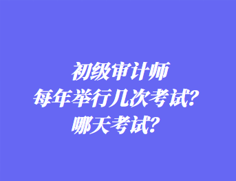 初级审计师每年举行几次考试？哪天考试？