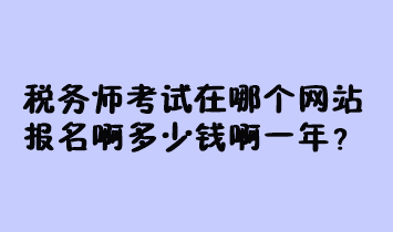 税务师考试在哪个网站报名啊多少钱啊一年