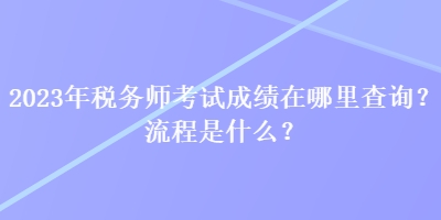 2023年税务师考试成绩在哪里查询？流程是什么？