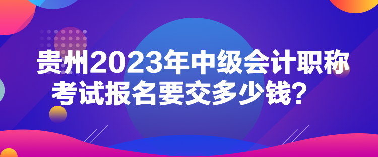 贵州2023年中级会计职称考试报名要交多少钱？