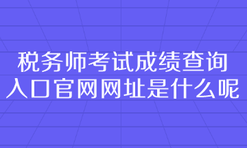 税务师考试成绩查询入口官网网址是什么呢