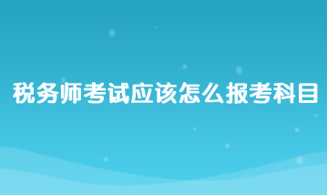 税务师考试应该怎么报考科目？