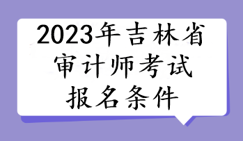 2023年吉林省审计师考试报名条件