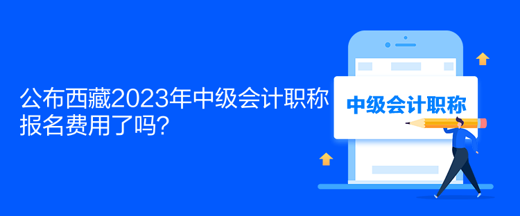 公布西藏2023年中级会计职称报名费用了吗？