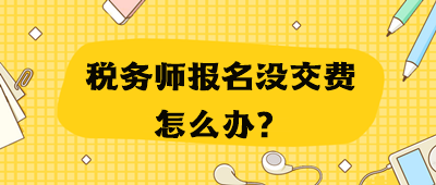 税务师报名没交费怎么办？