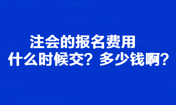 注会的报名费用什么时候交？多少钱啊？