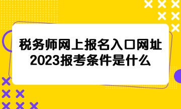 税务师网上报名入口网址2023报考条件是什么