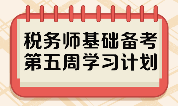 税务师基础备考第五周学习计划