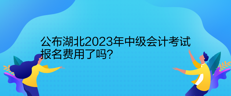 公布湖北2023年中级会计考试报名费用了吗？