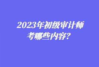 2023年初级审计师考哪些内容？