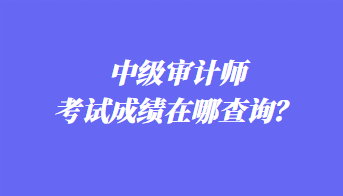 中级审计师考试成绩在哪查询？