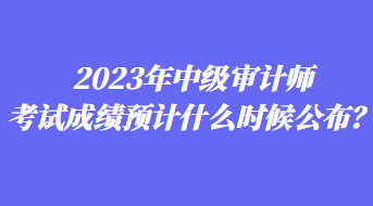 2023年中级审计师考试成绩预计什么时候公布？