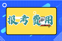 2023年四川初级经济师报名费用：每人每科61元